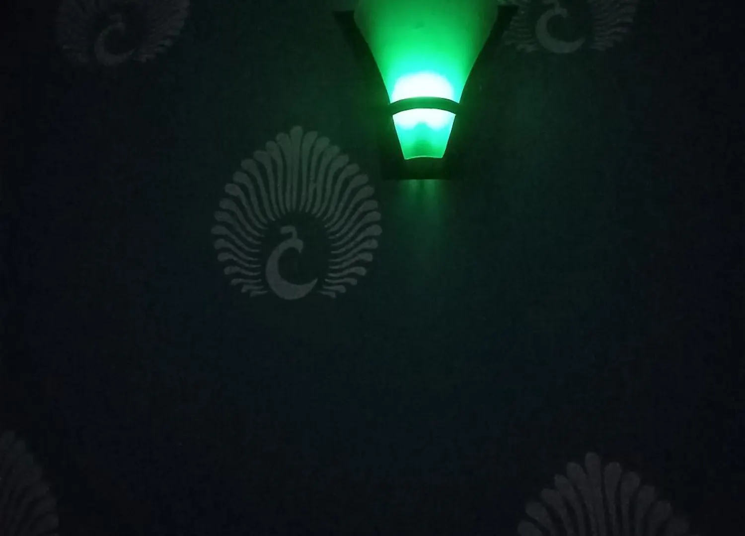 Welcome Paying Guest House Varanasi
